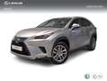 Lexus NX 300 300h Executive Kick Power+ Navigation 4WD Grau - thumbnail 1