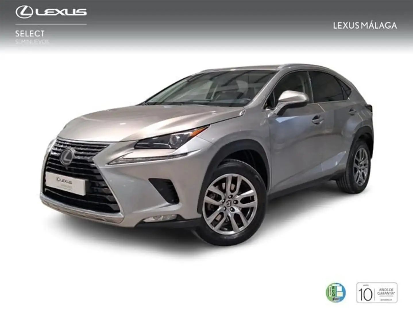Lexus NX 300 300h Executive Kick Power+ Navigation 4WD Grau - 1