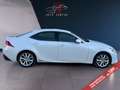 Lexus IS 300 h/Automatik/Kamera/2. Hand Weiß - thumbnail 5