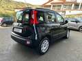 Fiat Panda Panda 1.2 Lounge 69cv E6 Nero - thumbnail 5