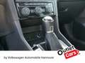Volkswagen Golf Sportsvan 1.0 TSI Join Navi LED PDC SHZ Grau - thumbnail 15