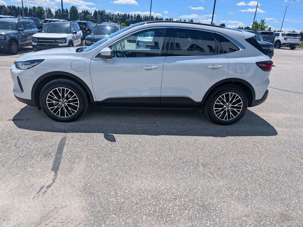 Ford Escape снимка Ford Escape