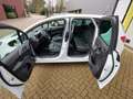 Opel Meriva 1.4 Turbo Edition 29.000 KM Uniek Wit - thumbnail 12