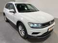 Volkswagen Tiguan 2.0 TDI DSG Highline 4Motion EU6d-T Navi LED ACC P Weiß - thumbnail 4