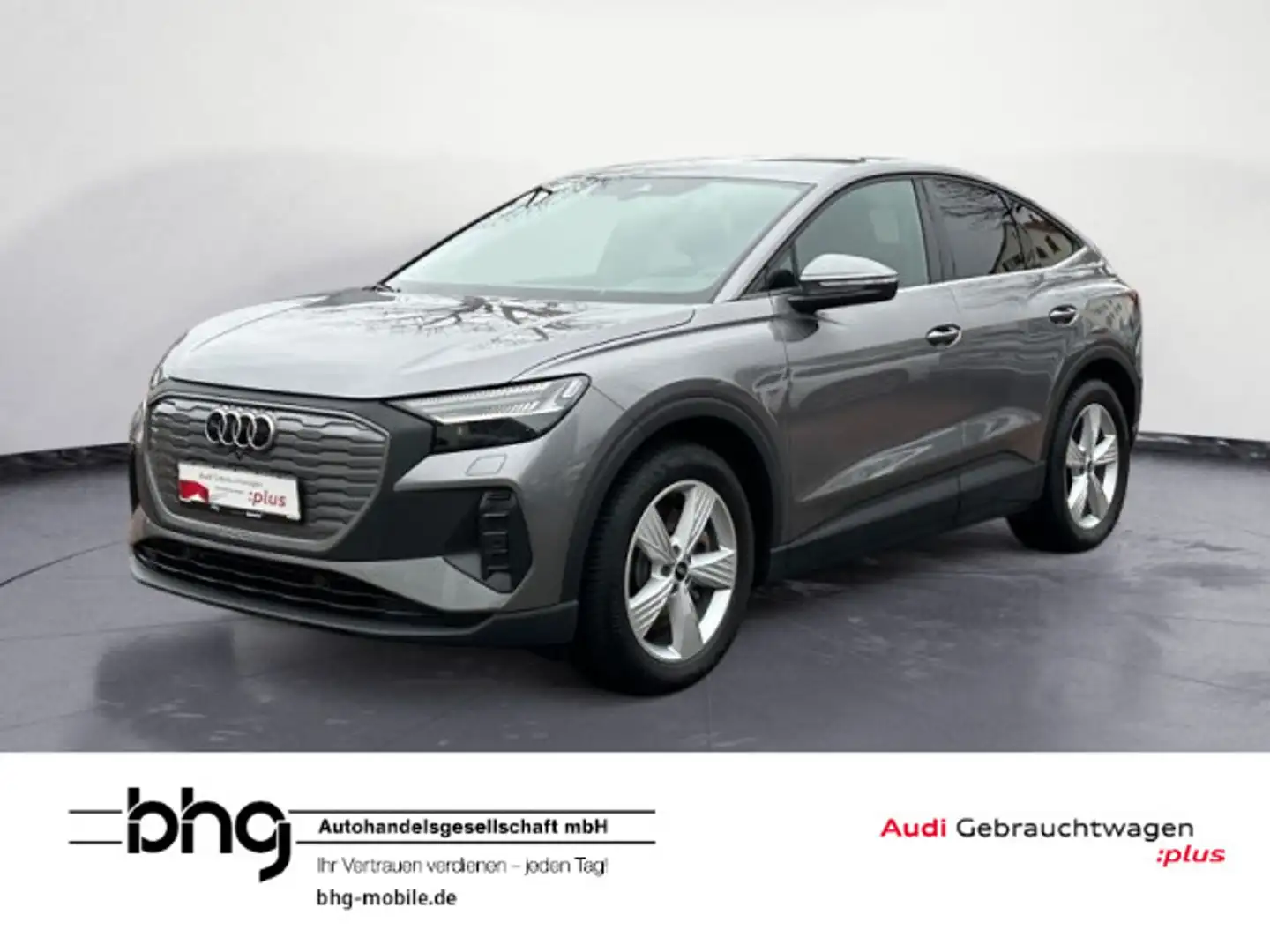 Audi Q4 e-tron Q4 Sportback 40 e-tron Matrix/ACC/Kamera/Navi/As Grau - 1