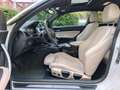 BMW 120 d M Paket Sport Individual -MwSt. -1. Hand Blanco - thumbnail 29