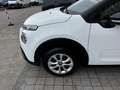 Citroen C3 Van 1.5 Bluehdi 100cv S&s Feel M6 Weiß - thumbnail 18
