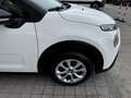 Citroen C3 Van 1.5 Bluehdi 100cv S&s Feel M6 Weiß - thumbnail 13