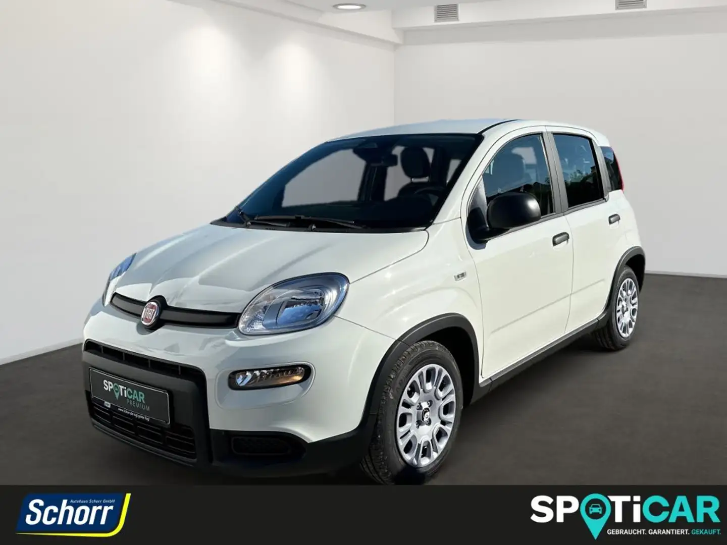 Fiat Panda 1.0 GSE Hybrid - 1