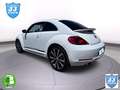 Volkswagen Beetle 2.0 TSI Sport DSG - thumbnail 12