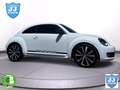 Volkswagen Beetle 2.0 TSI Sport DSG - thumbnail 14