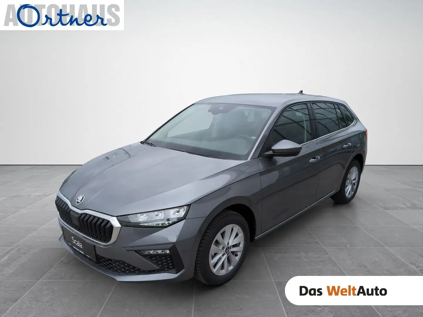Skoda Scala Selection TSI Grau - 1