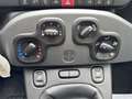 Fiat Panda 1.0 FireFly 70cv S&S Hybrid City Life Bianco - thumbnail 14