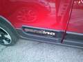 Fiat Panda Pandina III   Pandina Cross 1.0 firefly hybrid s Rot - thumbnail 6