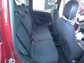 Fiat Panda Pandina III   Pandina Cross 1.0 firefly hybrid s Rot - thumbnail 19