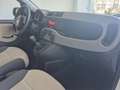 Fiat Panda 1.3 mjt 16v Easy 75cv Blanco - thumbnail 19