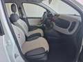 Fiat Panda 1.3 mjt 16v Easy 75cv Blanco - thumbnail 16