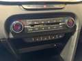 Kia ProCeed / pro_cee'd 1.6 T-GDI DCT GT LED|Pano|AHK|Kom.|Navi Gris - thumbnail 19