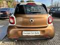 smart forFour Forfour II 1.0 PASSION 71cv twinamic Marrone - thumbnail 14