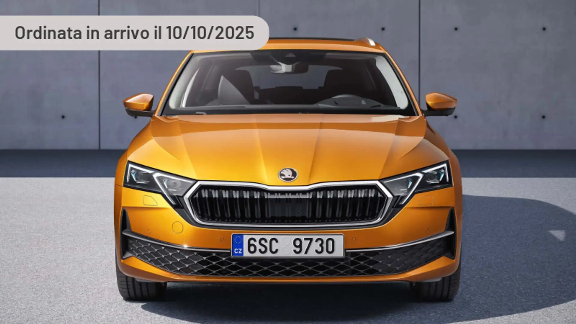 Skoda Octavia 2.0 TDI 115 CV Wagon Selection Argento - 1