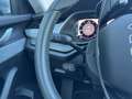 Skoda Octavia 2.0 TDI 150 CV DSG Wagon Executive Gris - thumbnail 12