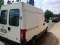 Fiat Ducato Ducato 11 243.3C2.0 C1C - thumbnail 4