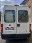 Fiat Ducato Ducato 11 243.3C2.0 C1C - thumbnail 5
