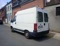Fiat Ducato Ducato 11 243.3C2.0 C1C - thumbnail 6