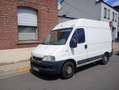 Fiat Ducato Ducato 11 243.3C2.0 C1C - thumbnail 1