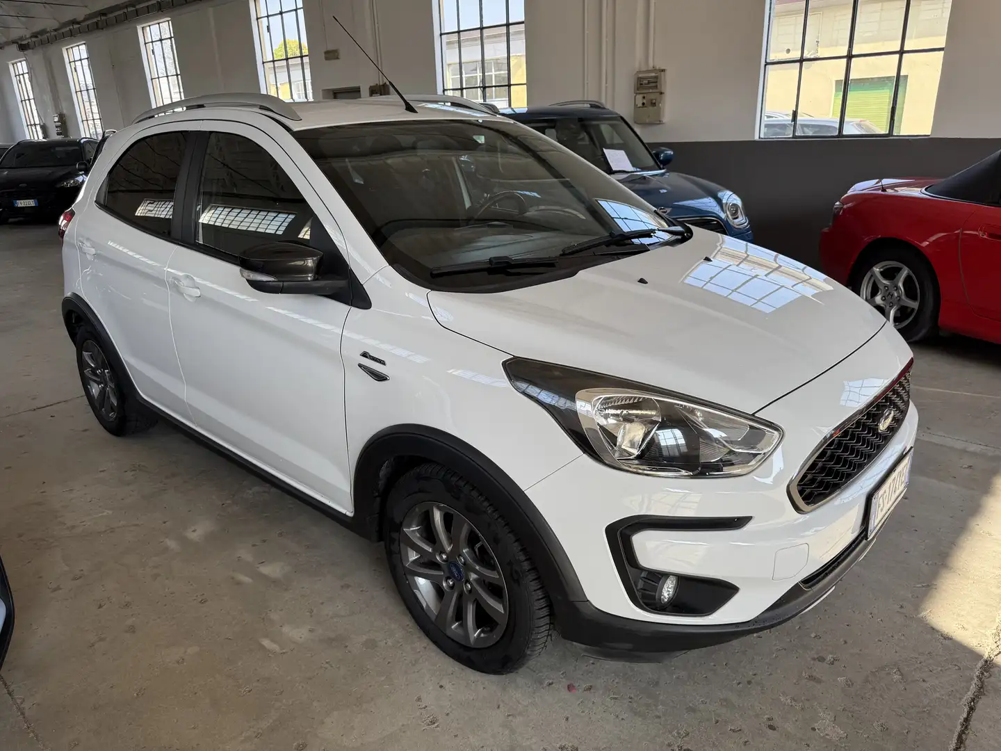 Ford Ka/Ka+ Ka + active 1.5 ecoblue(tdci) s&s 95cv Blanc - 1