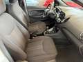 Ford Ka/Ka+ Ka + active 1.5 ecoblue(tdci) s&s 95cv Blanc - thumbnail 5