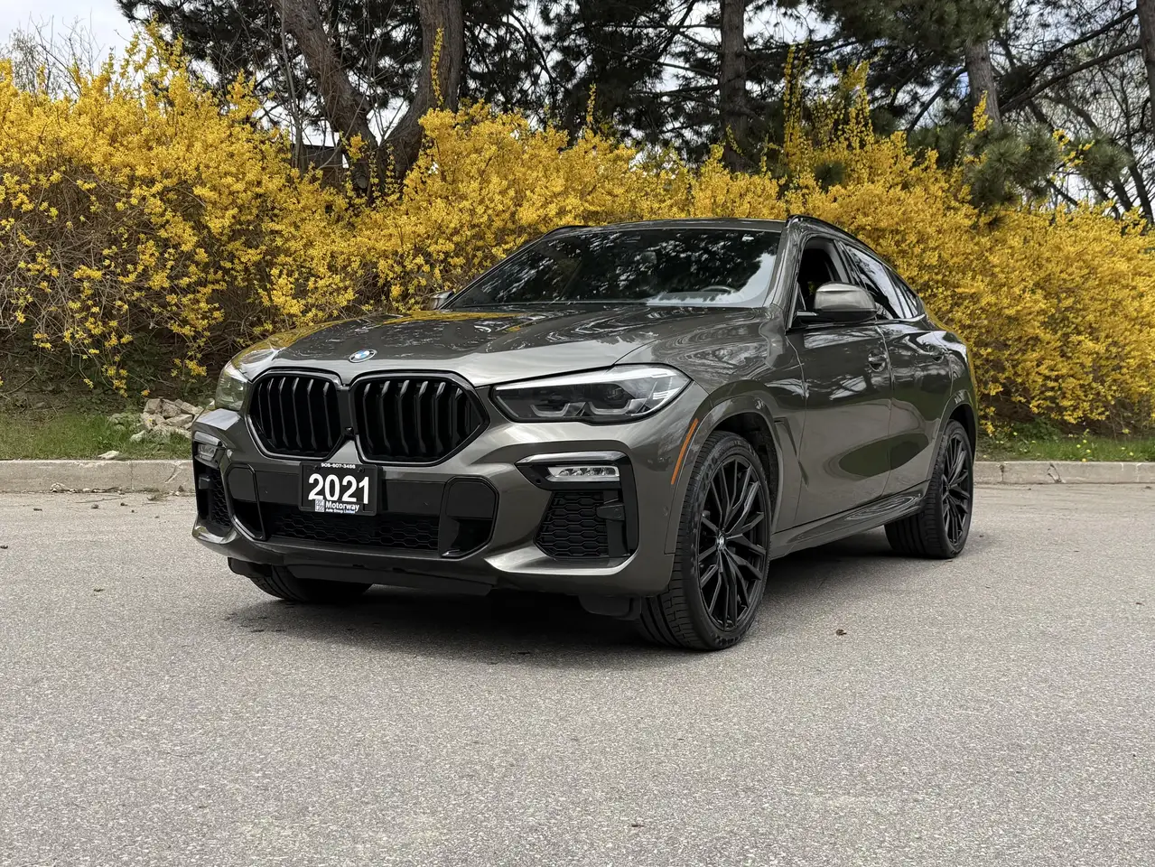 2021 BMW X6