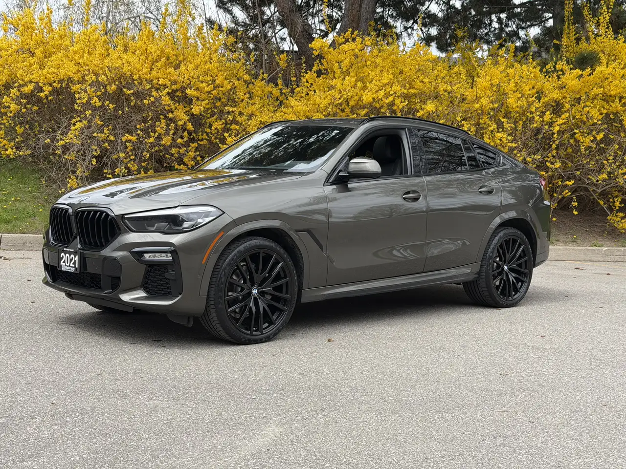 BMW X6 снимка BMW X6
