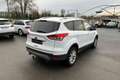 Ford Kuga 2.0 TDCi  150 ch  4x4  Titanium  DISTRIBUTION OK GARANTIE 12 MOIS Blanc - thumbnail 4