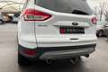 Ford Kuga 2.0 TDCi  150 ch  4x4  Titanium  DISTRIBUTION OK GARANTIE 12 MOIS Blanc - thumbnail 19