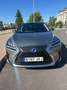 Lexus RX 450h Executive Tecno Grau - thumbnail 3