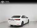 Toyota Corolla SD - MY24 Style Plus Sedan 140H e-CVT - thumbnail 18