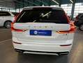 Volvo XC60 XC60 B4 AWD R-Design Aut Glasd PilotAssist 360° Bianco - thumbnail 19