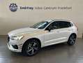 Volvo XC60 XC60 B4 AWD R-Design Aut Glasd PilotAssist 360° Bianco - thumbnail 14