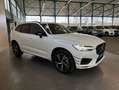 Volvo XC60 XC60 B4 AWD R-Design Aut Glasd PilotAssist 360° Bianco - thumbnail 28