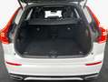 Volvo XC60 XC60 B4 AWD R-Design Aut Glasd PilotAssist 360° Bianco - thumbnail 6