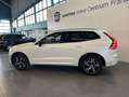 Volvo XC60 XC60 B4 AWD R-Design Aut Glasd PilotAssist 360° Bianco - thumbnail 29