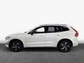 Volvo XC60 XC60 B4 AWD R-Design Aut Glasd PilotAssist 360° Bianco - thumbnail 4