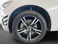 Volvo XC60 XC60 B4 AWD R-Design Aut Glasd PilotAssist 360° Bianco - thumbnail 5