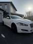 Jaguar XF 2,2 Diesel Weiß - thumbnail 3
