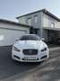 Jaguar XF 2,2 Diesel Weiß - thumbnail 1