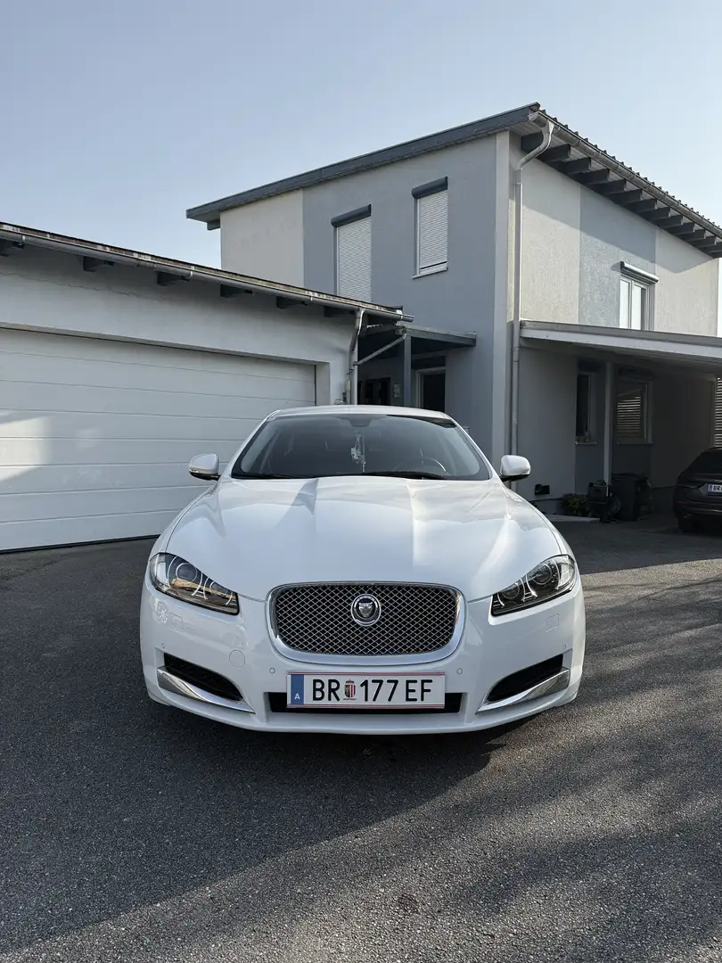 Jaguar XF 2,2 Diesel Weiß - 1