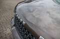 Land Rover Range Rover V8 4.4 TD HSE Virtual/Luft/Xenon/H&K Marrón - thumbnail 19