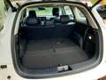 DFSK Fengon 600 1.5T-GDI AT LED KEYLESS 360° KAMERA Bianco - thumbnail 12