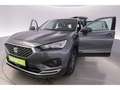 SEAT Tarraco 2.0TSI 4Drive DSG Xcellence+LED+VIRTUAL Gelb - thumbnail 22